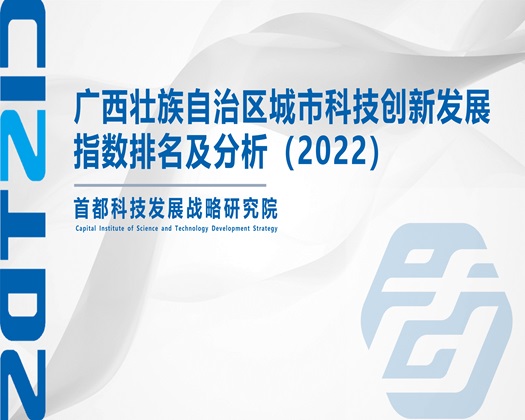 男人操女人鸡鸡免费【成果发布】广西壮族自治区城市科技创新发展指数排名及分析（2022）